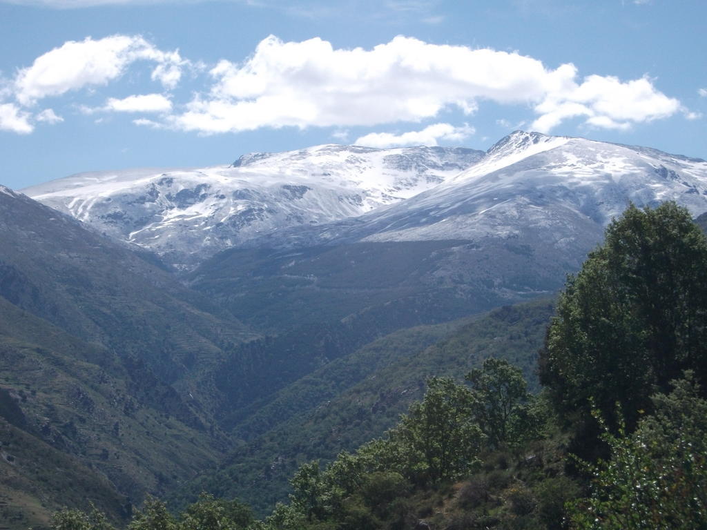Apartamentos Sierra Nevada Welcome Номер фото